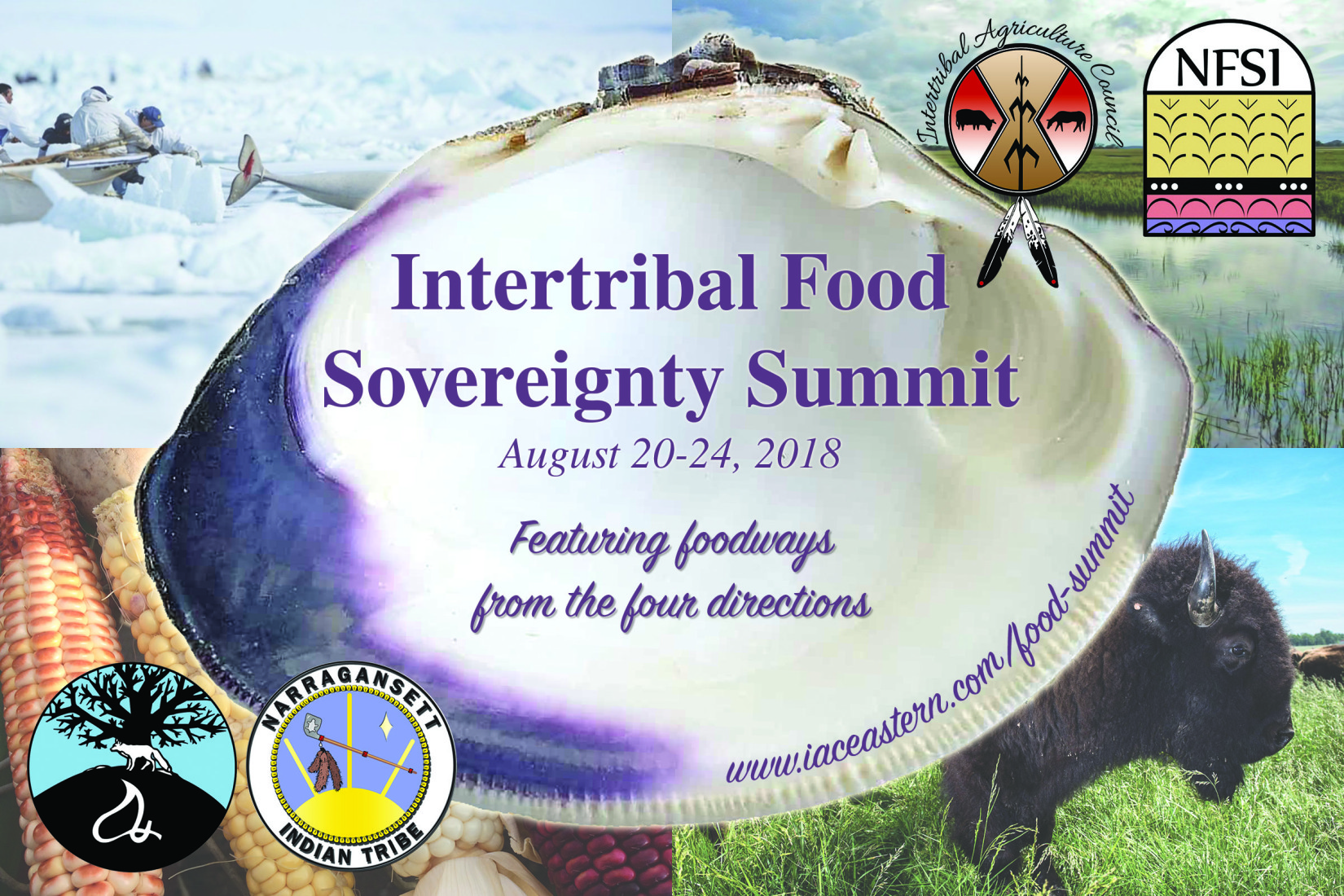 2018-ifss-save-date-front-nit